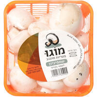 פטריות שמפיניון טריות מוגו חסלט 240 גרם