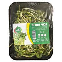 נבטי חמניה ביכורי השדה יחידה