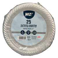 צלחות חד פעמיות גדולות 23 ס