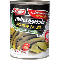 מלפפונים בחומץ 18-25 קטנים מאוד יוחננוף 560 גרם
