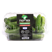 מלפפון בייבי מרינה 600 גרם