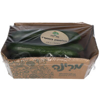 מלפפון טרי פרימיום ארוז מרינה 1 קילו