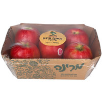 תפוח עץ פינק ליידי פרימיום ארוז מרינה 1 קילו