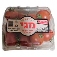 עגבניות מגי ביכורי השדה צפון במשקל