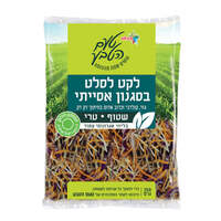 לקט ירקות שורש טריים לסלט אסייאתי שטוף טעם הטבע 350 גרם