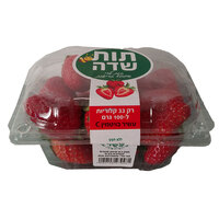 תות שדה ג.מ. שיווק תוצרת חקלאית 450 גרם