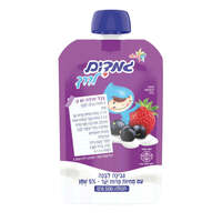 גבינה לבנה 5% עם מחית פירות יער גמדים לדרך 100 גרם