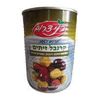 תערובת זיתים ירוקים טבעיים ומרינד קרנבל זיתים בני דרום 560 גרם