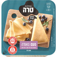 פרוסות גבינת גאודה חצי קשה 30% גאודה נעם 200 גרם
