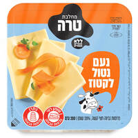 פרוסות גבינה חצי קשה נטול לקטוז נעם 200 גרם