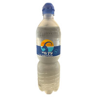 מים מינרליים פקק ספורט עין גדי 750 מ