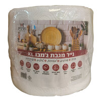 נייר מגבת דו שכבתי ג'מבו 550 דפים חגיגית יחידה