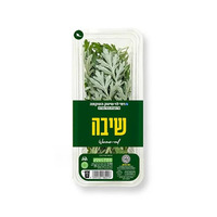 שיבא טריה רמי לוי יחידה