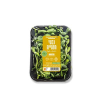 נבטי חמניה רמי לוי יחידה