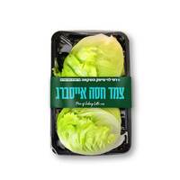 חסה אייסברג עגולה רמי לוי 2 יחידות