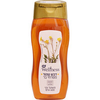 דבש טהור מפרחי בר בבקבוק לחיץ לייף וולנס 600 גרם