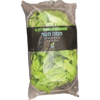חסה משי הידרופונית שופרסל יחידה