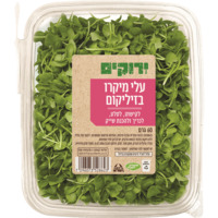 עלי מיקרו בזיליקום ירוקים 60 גרם