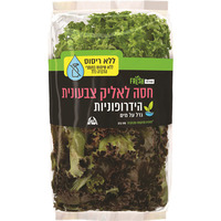 חסה לאליק צבעונית הידרופונית פרש שופרסל 190 גרם