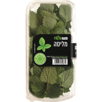 מליסה טרי יחידה