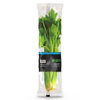 סלרי עלים ירוקים יחידה