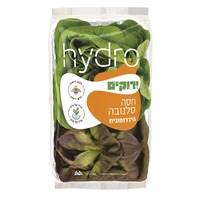 חסה סלנובה הידרופונית ירוקים 160 גרם