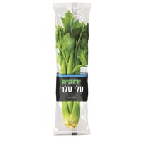 סלרי עלים טרי ירוקים יחידה