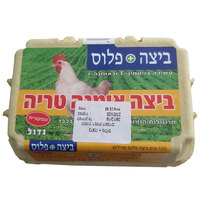 ביצים מעושרות באומגה 3 גדול ביצה פלוס 6 יחידות