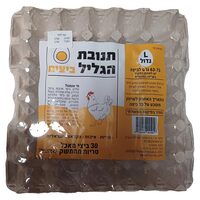 ביצים ארוזות רגילות גדול 30 יחידות