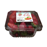 תות שדה טרי 480 גרם