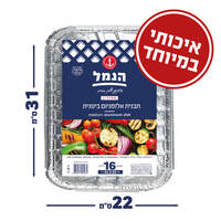 תבנית אלומיניום בינוניות אר 2 הנמל 16 יחידות