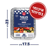 תבנית אלומיניום קטנה הנמל 30 יחידות