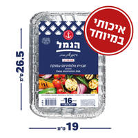 תבנית אלומיניום עמוקה הנמל 16 יחידות