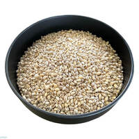 גריסים במשקל (כללי)