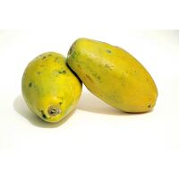 פפאיה טריה יחידה (כללי)