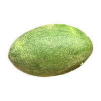 מלון חרוש במשקל (כללי)