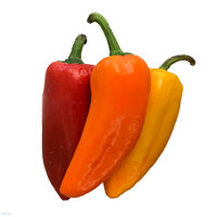 פלפל ננסי מתוק טינקרבל במשקל (כללי)