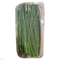 עירית טריה יחידה (כללי)