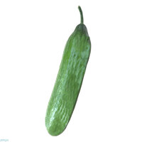 מלפפון טרי אורגני במשקל (כללי)