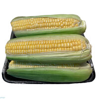 תירס אורגני במשקל (כללי)