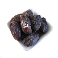 תמר מג'הול ענק במשקל (כללי)