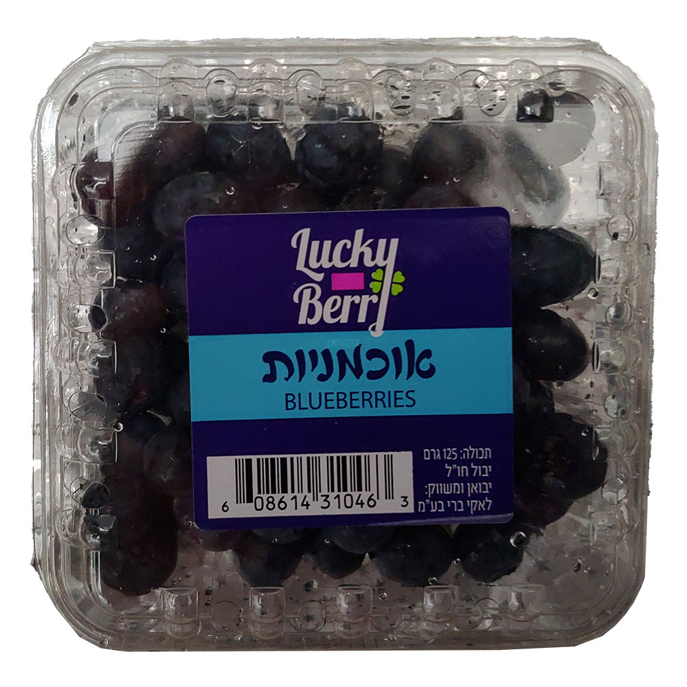 אוכמניות טרי ארוז 125 גר`