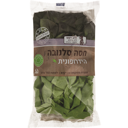 חסה לאליק הידרופונית