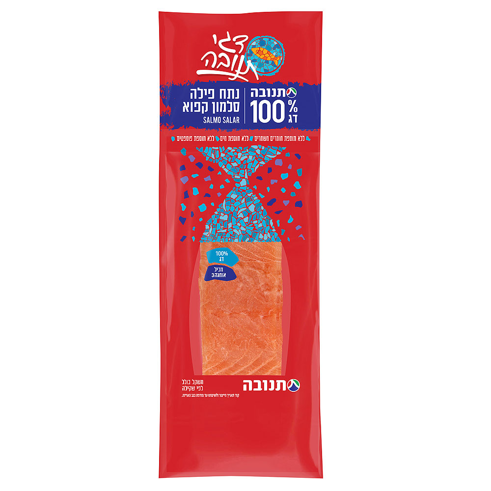 נתח פילה סלמון קפוא