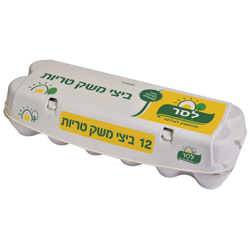 ביצים 12 יח`XL פיקוח