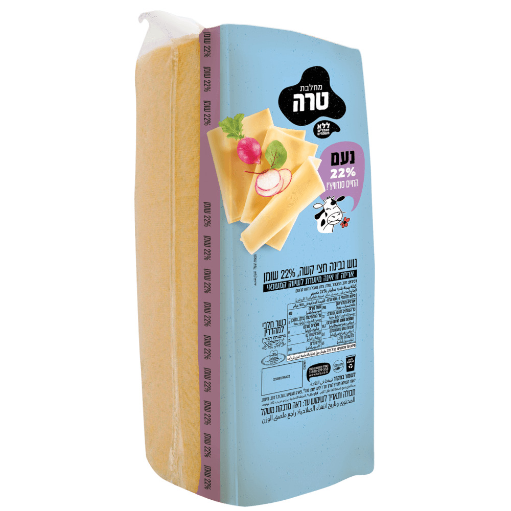 גבינה חצי קשה נעם 22
