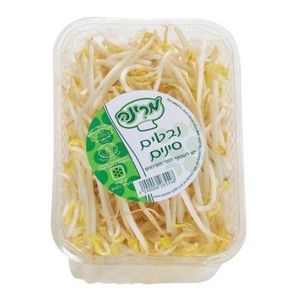 נבטים סיניים