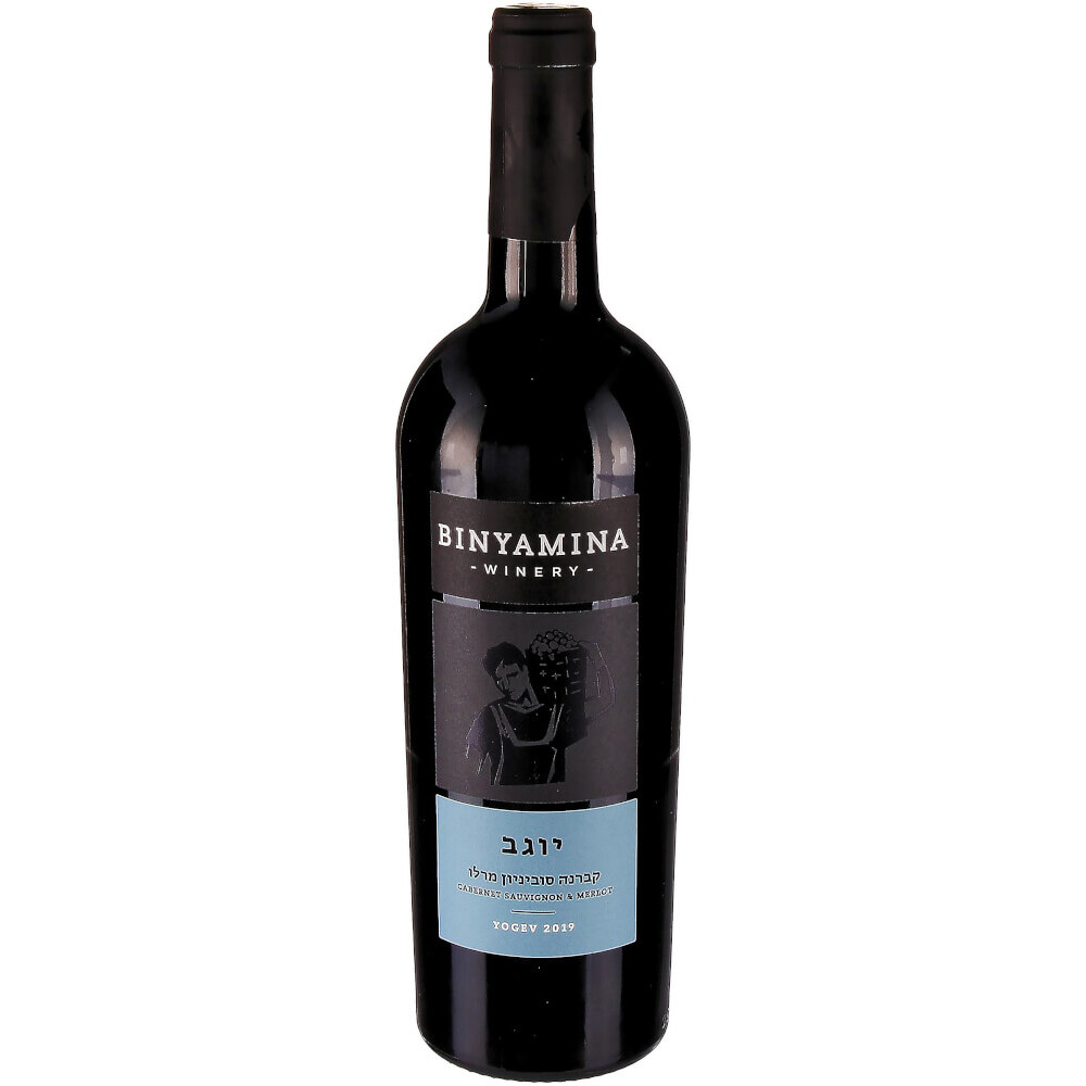 Binyamina Cabernet Merlot yogev 750ml (7290008807487)