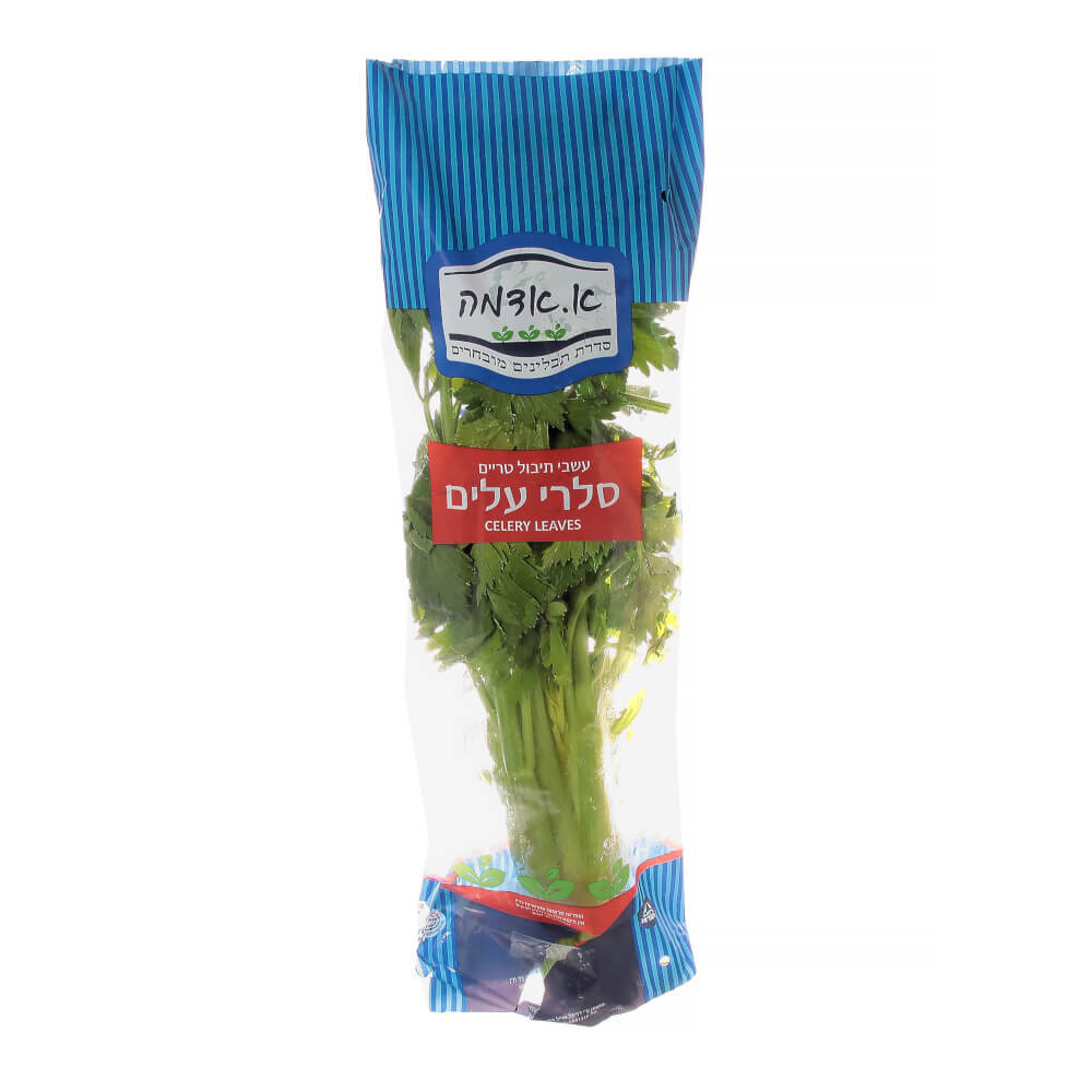 עלי סלרי א. אדמה