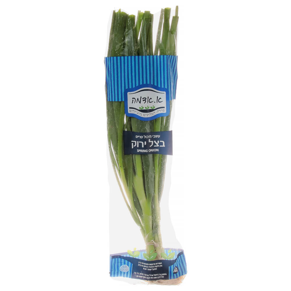 בצל ירוק יח